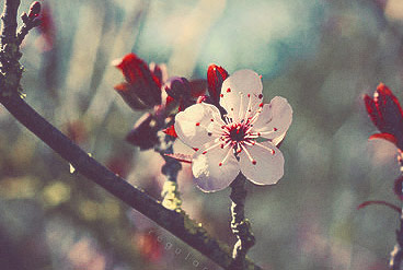 完全免费无广告的轰炸手机号信息软件免费版